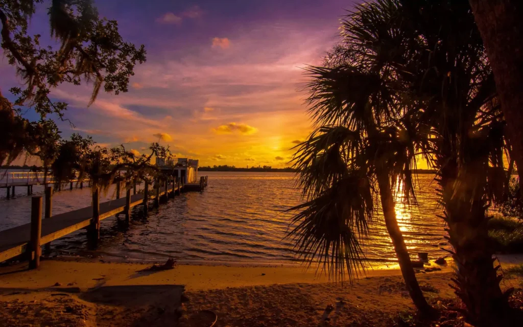 Sabal palms and a wooden dock silhouetted against a golden sunset over the water in Sarasota, FL