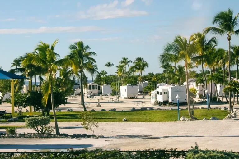 RV park with campers and travel trailers parked among palm trees near the water